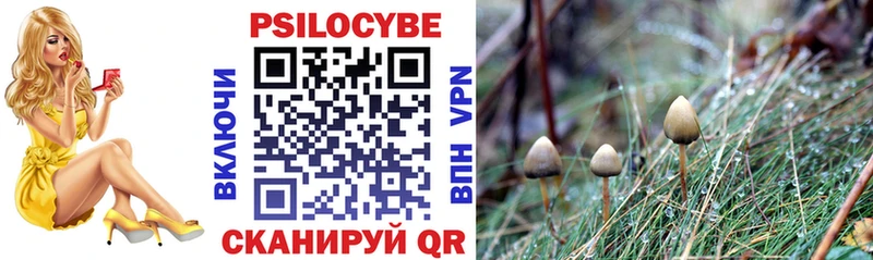 Галлюциногенные грибы Psilocybe  хочу   Удачный 
